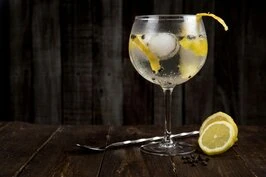 GIN & TONICS